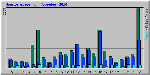 Hourly usage for November 2016